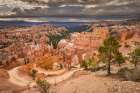 Bryce Canyon, Bryce Canyon National Park, Utah Art Print